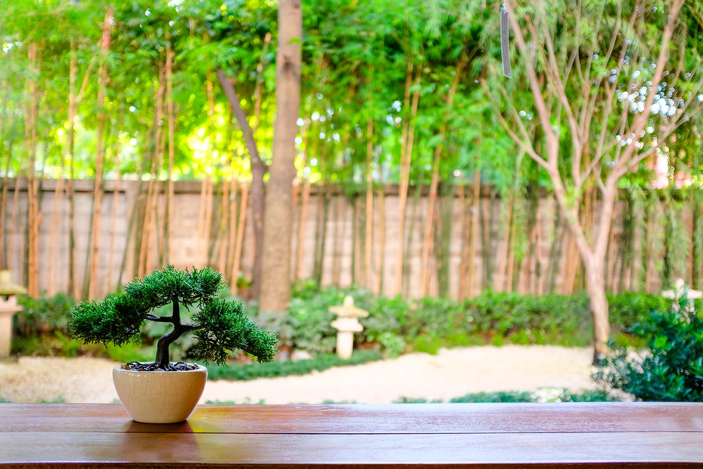 Bonsai jardin japonais