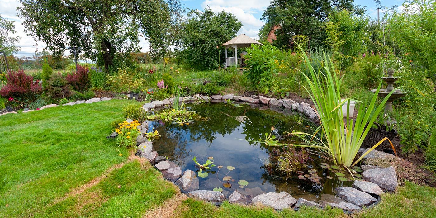 Bassins d'ornement, du zen aquatique dans votre jardin